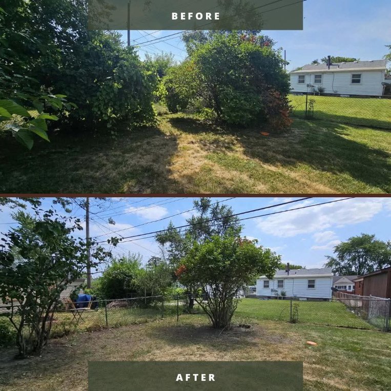 Before and after: overgrown backyard bushes trimmed and lawn reclaimed