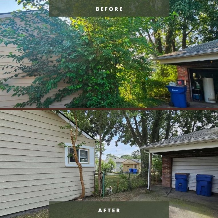 Before and after: overgrown trees and brush cleared away from a garage